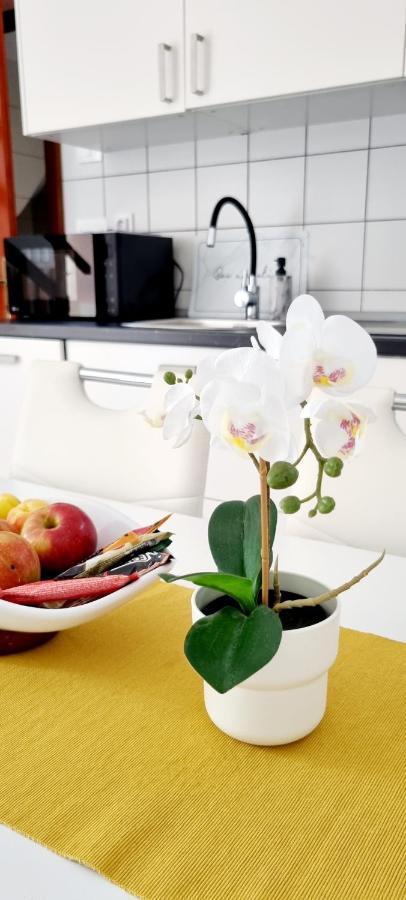 Apartments Severina Ρόβινι Εξωτερικό φωτογραφία